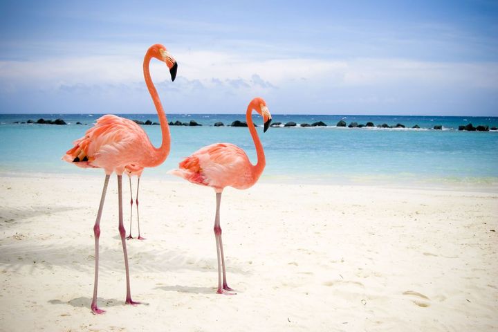 plage Playa Flamingo, Cayo Coco