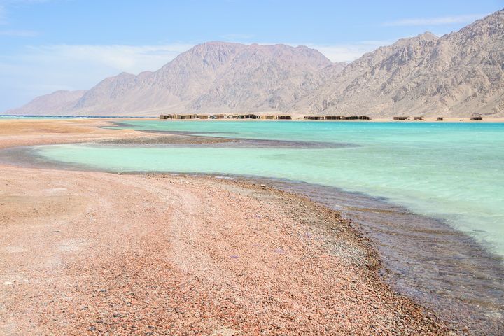 plage Ras Abu-Galum, Dahab