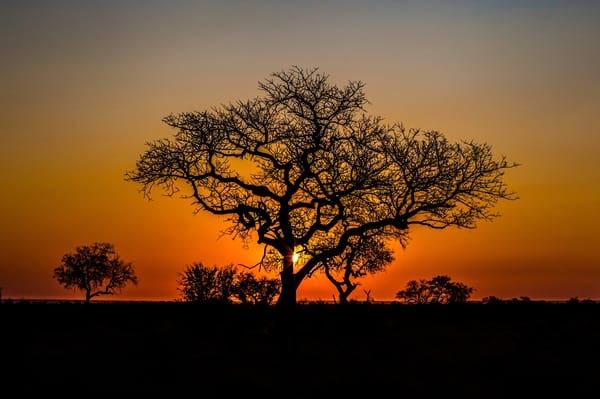 KwaZulu Natal