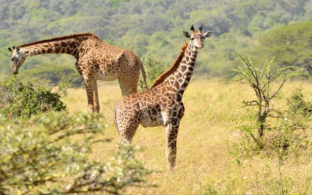 Nairobi and its surroundings