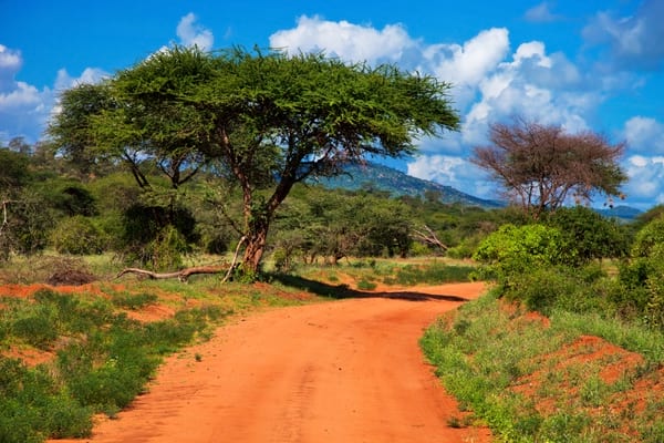 Mombasa and its surroundings