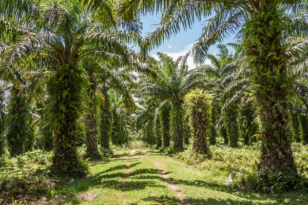 Toamasina (Tamatave)