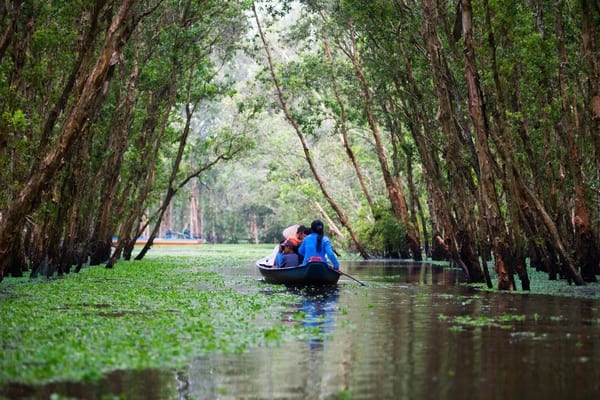 The Mekong Delta